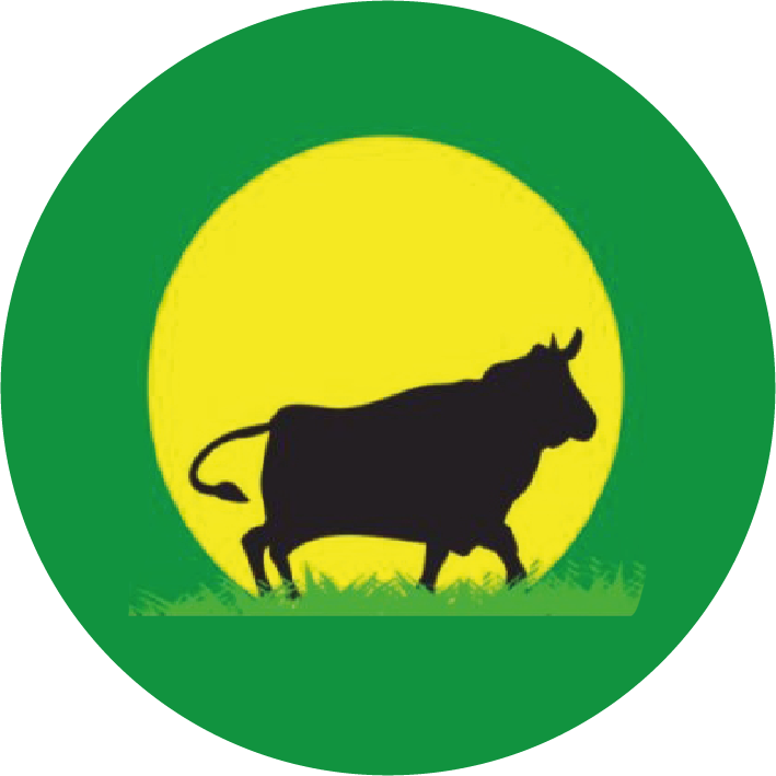 Cajamarca siempre verde